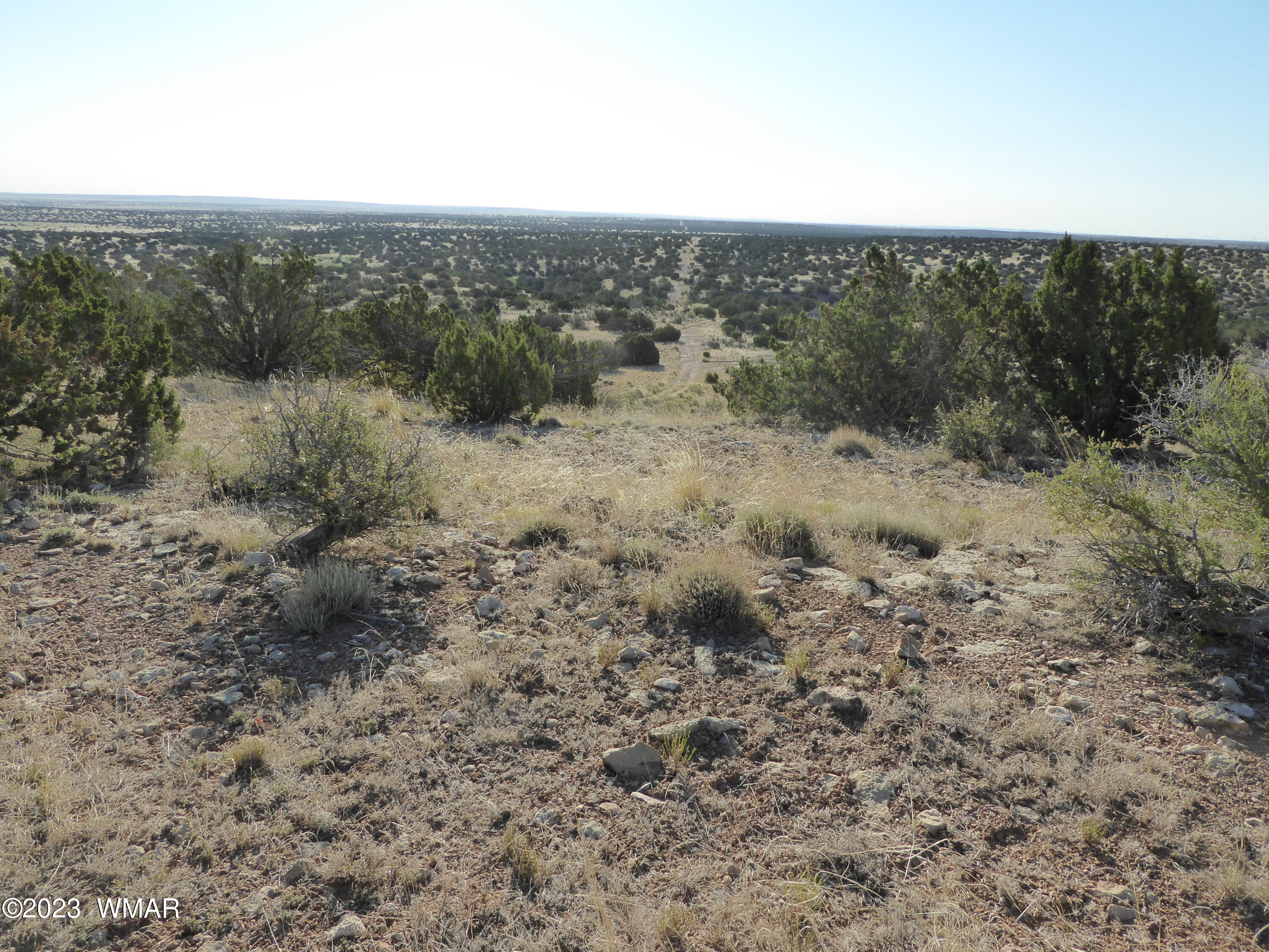 Tbd Buffington Hill Road Heber, AZ 85928 - Photo 5 of 8