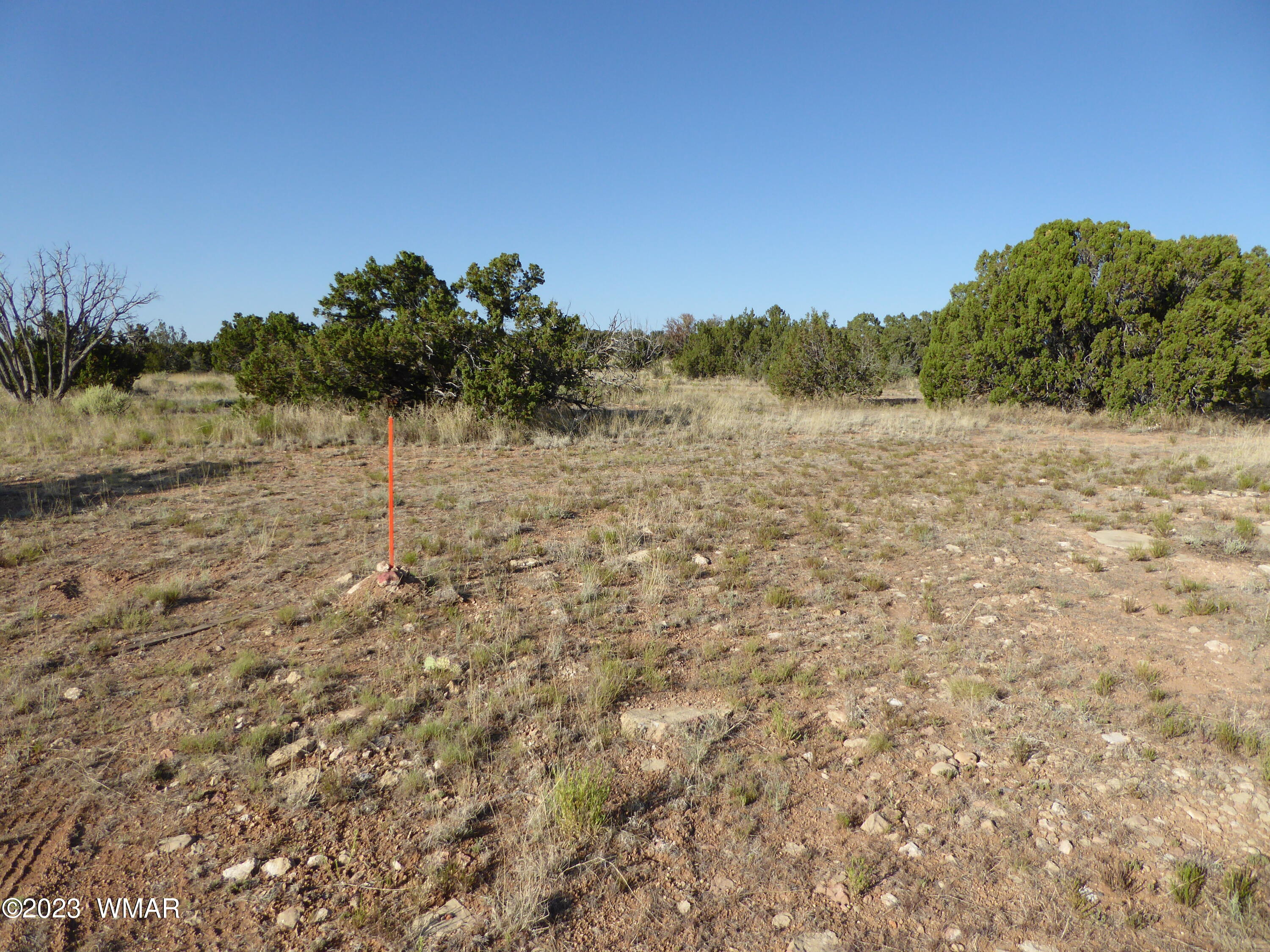 Tbd Buffington Hill Road Heber, AZ 85928 - Photo 6 of 8