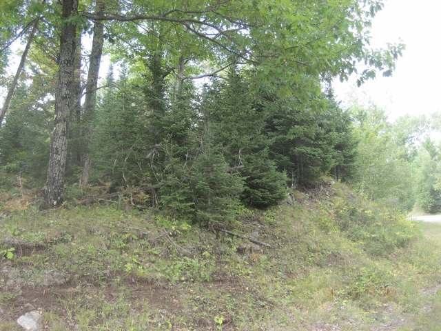 On Wallace Road Mercer, WI 54547 - Photo 8 of 10 Gallery Image 8