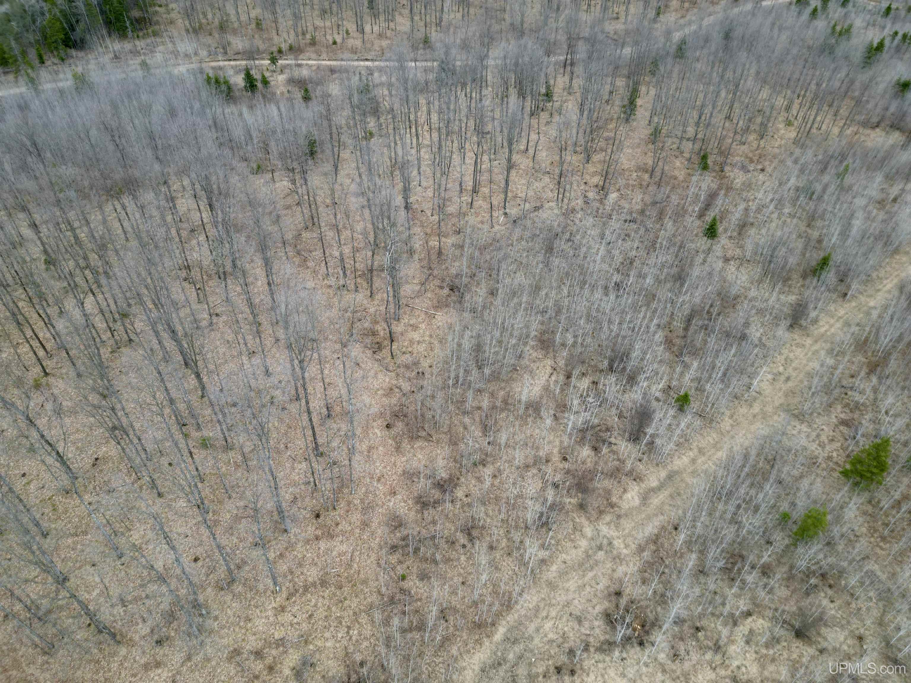 Tbd North Gaber Rd H Road Perronville, MI 49873 - Photo 6 of 14