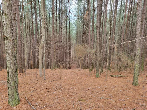 $60,000 | Lot 64 Thunder Ridge Drive, Unit 64, Sherwood, TN 37376