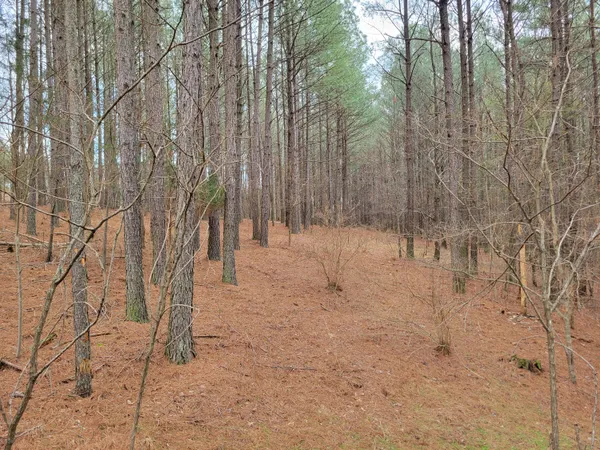 $60,000 | Lot 64 Thunder Ridge Drive, Unit 64, Sherwood, TN 37376