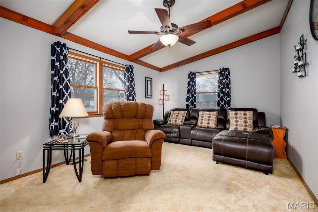 650 23rd Street Carlyle, IL 62231 - Photo 5 of 50