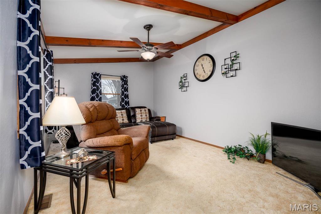 650 23rd Street Carlyle, IL 62231 - Photo 6 of 50