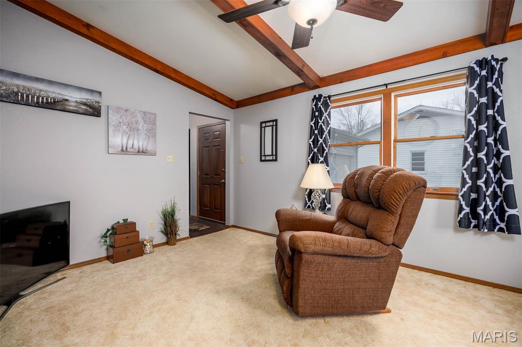 650 23rd Street Carlyle, IL 62231 - Photo 7 of 50