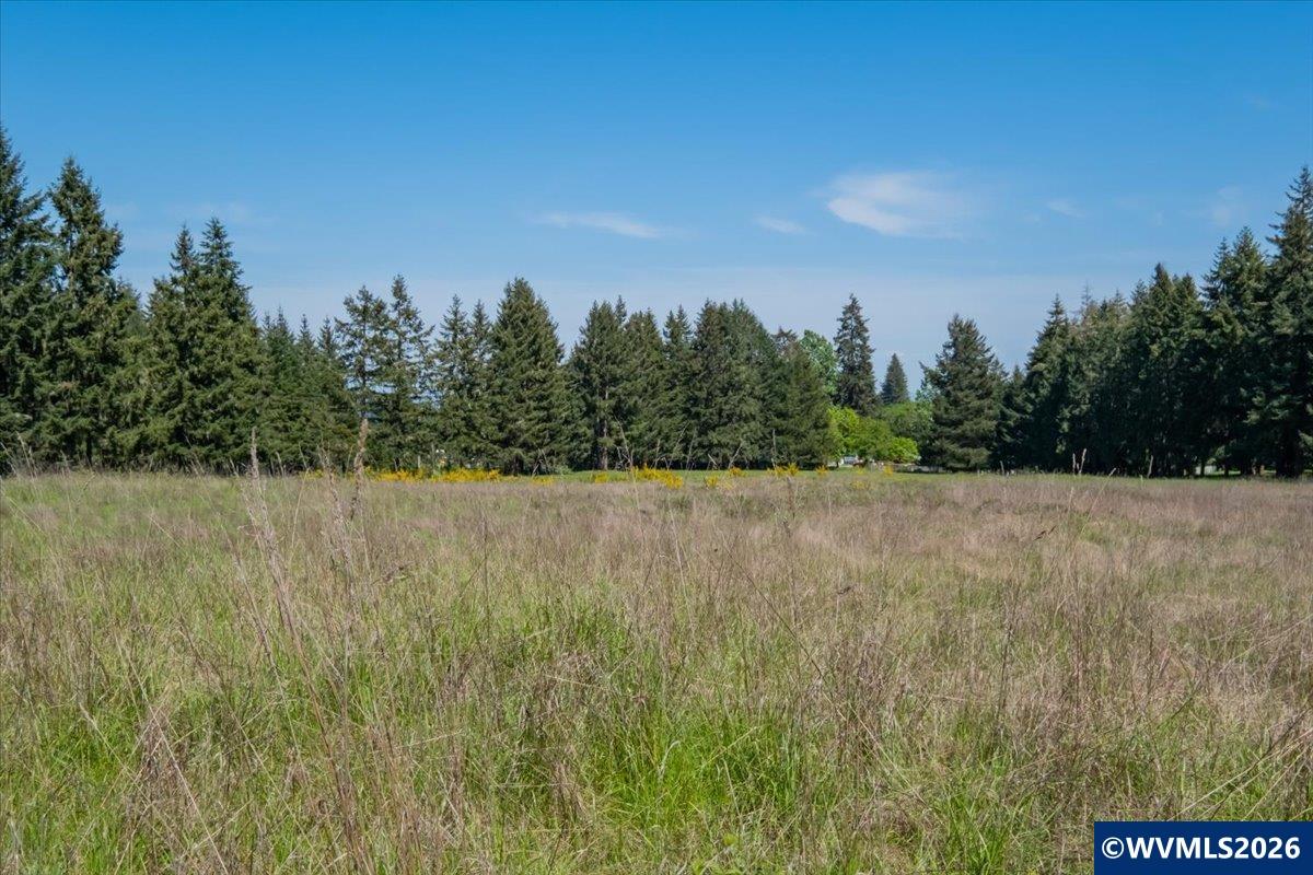 201552 Orchard Tract Road Monroe, OR 97456 - Photo 14 of 19