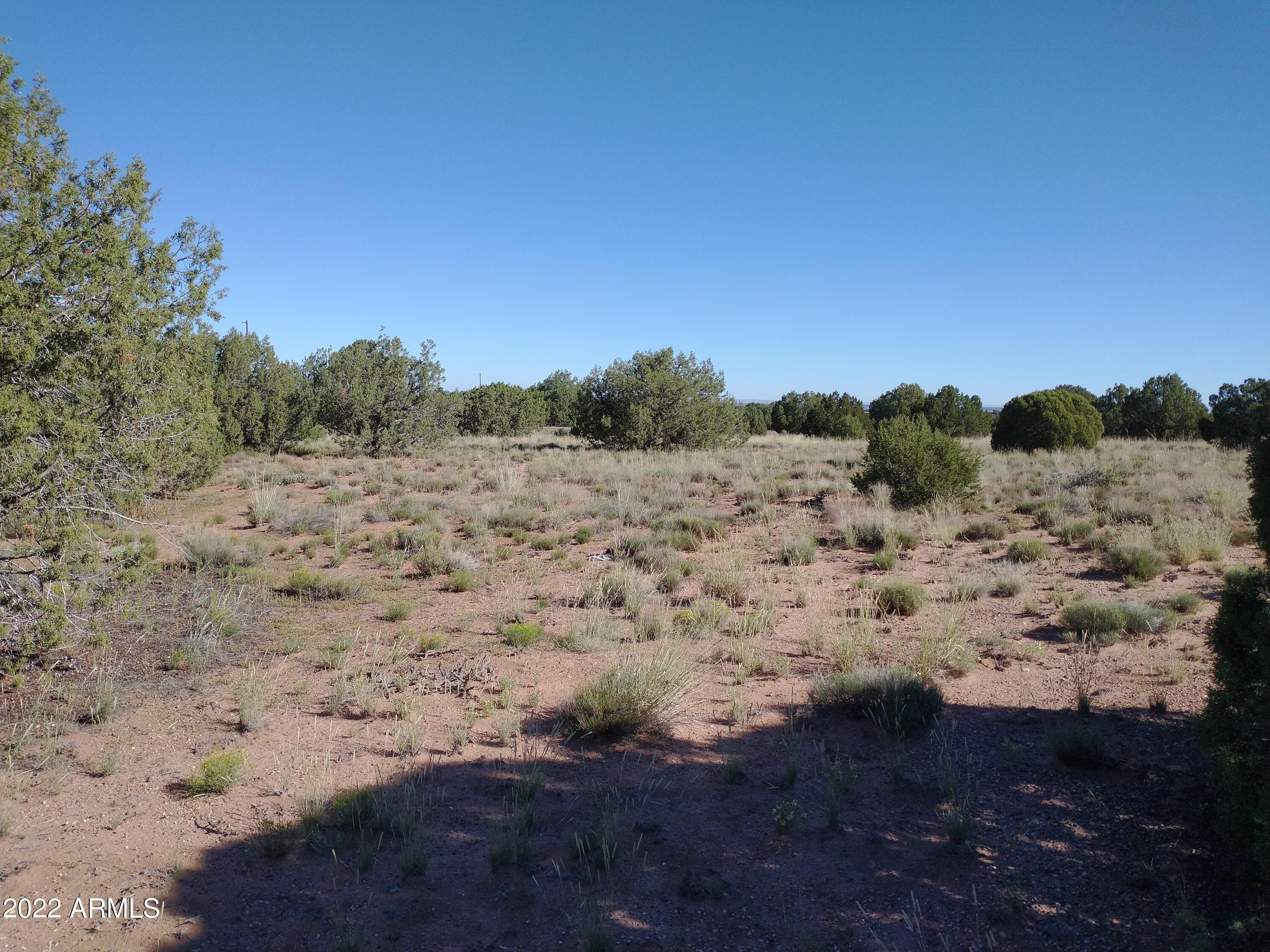 4529 Mountain View Road, Unit 140 Snowflake, AZ 85937 - Photo 1 of 12 IMG_20220917_085843628