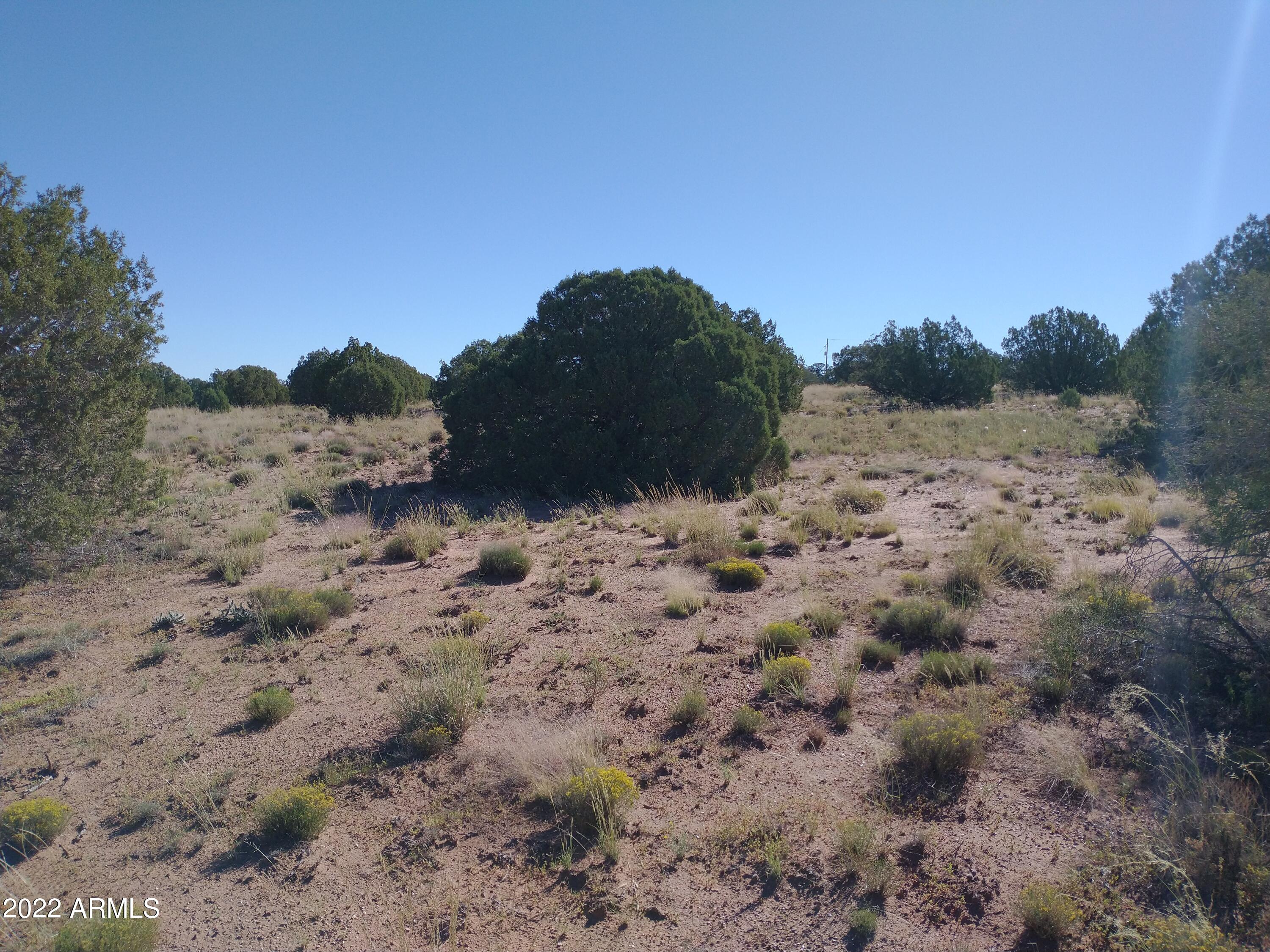 4529 Mountain View Road, Unit 140 Snowflake, AZ 85937 - Photo 2 of 12 IMG_20220917_085817864