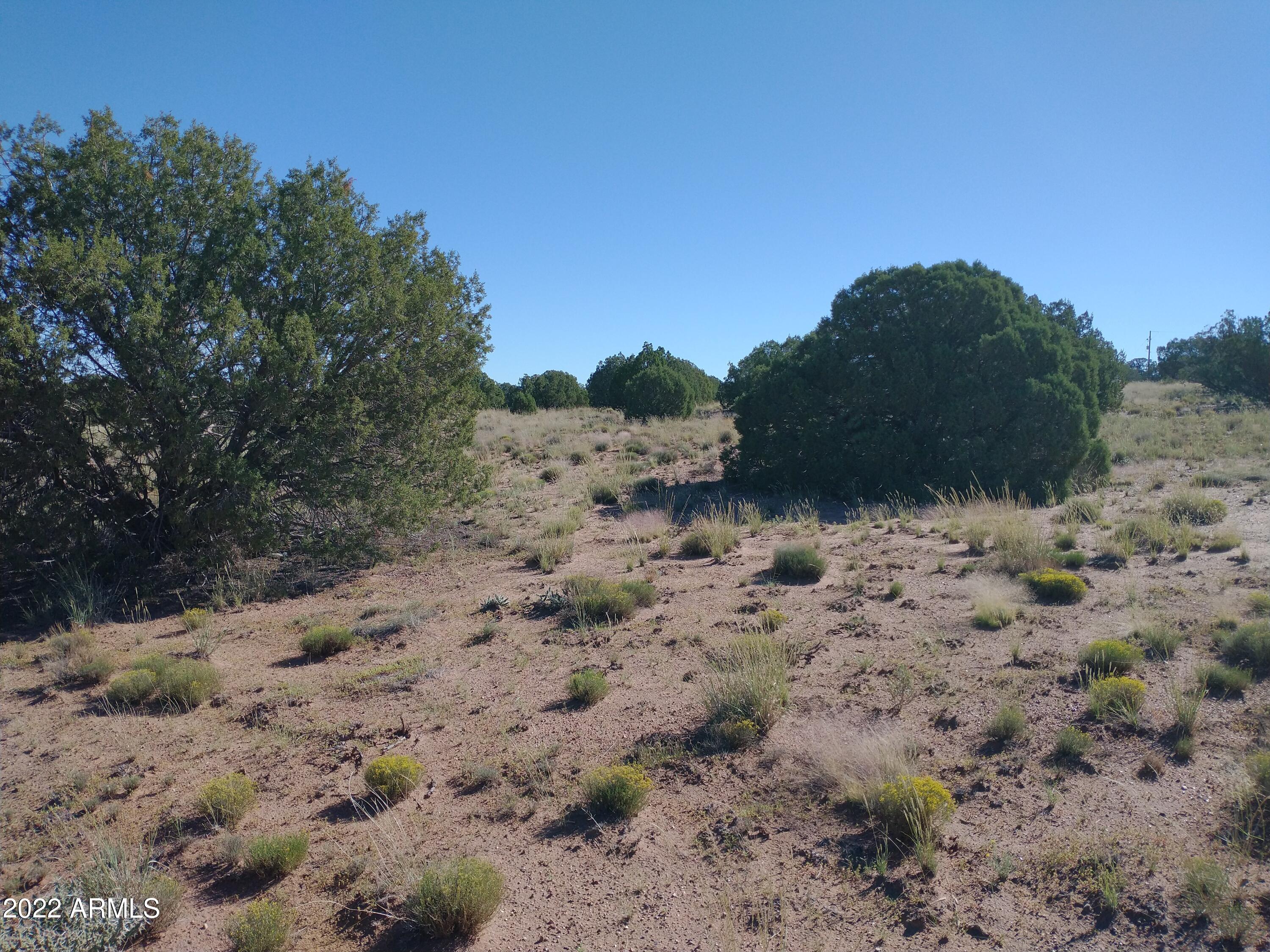 4529 Mountain View Road, Unit 140 Snowflake, AZ 85937 - Photo 4 of 12 IMG_20220917_085814980