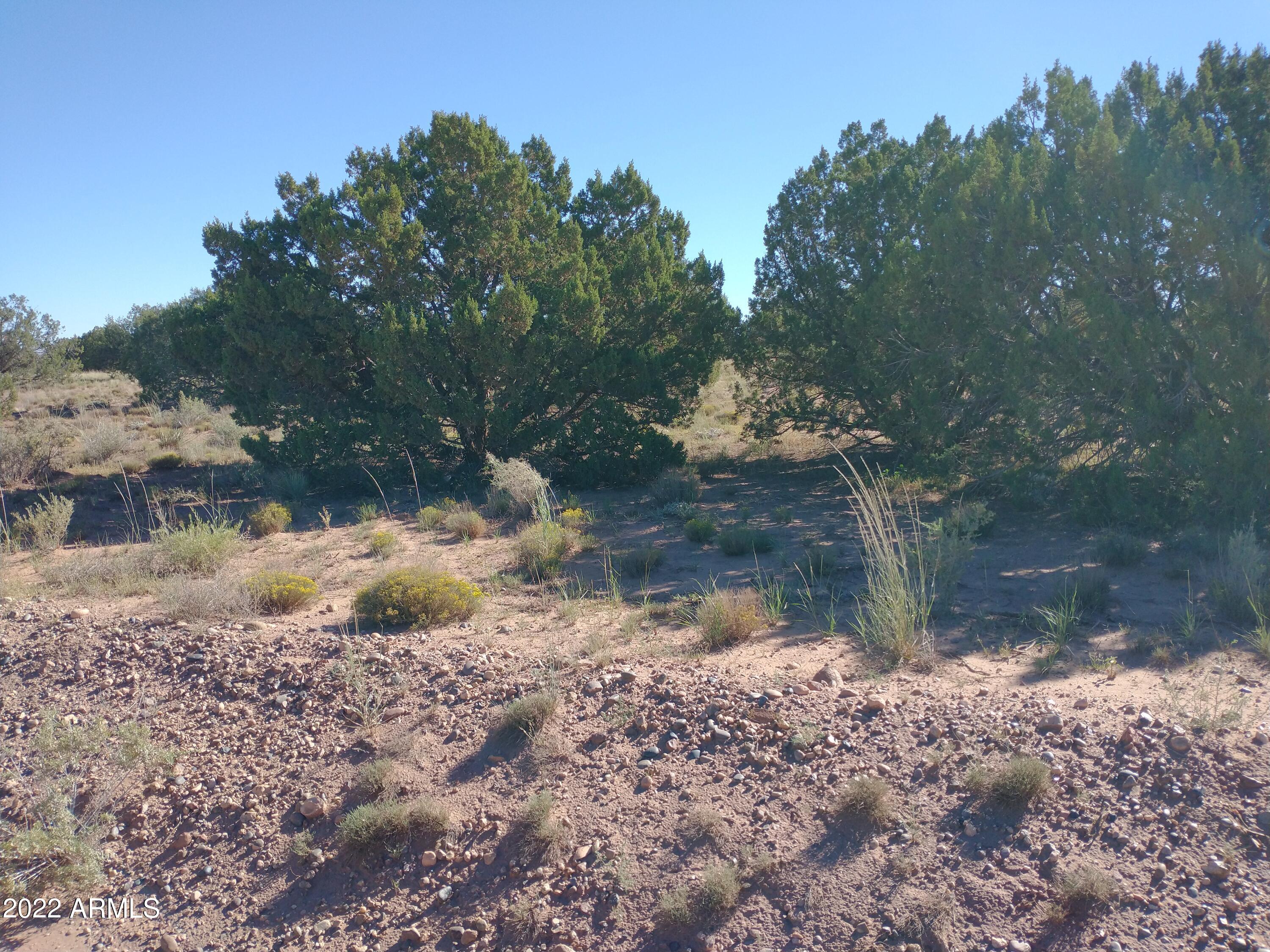 4529 Mountain View Road, Unit 140 Snowflake, AZ 85937 - Photo 5 of 12 IMG_20220917_085754893