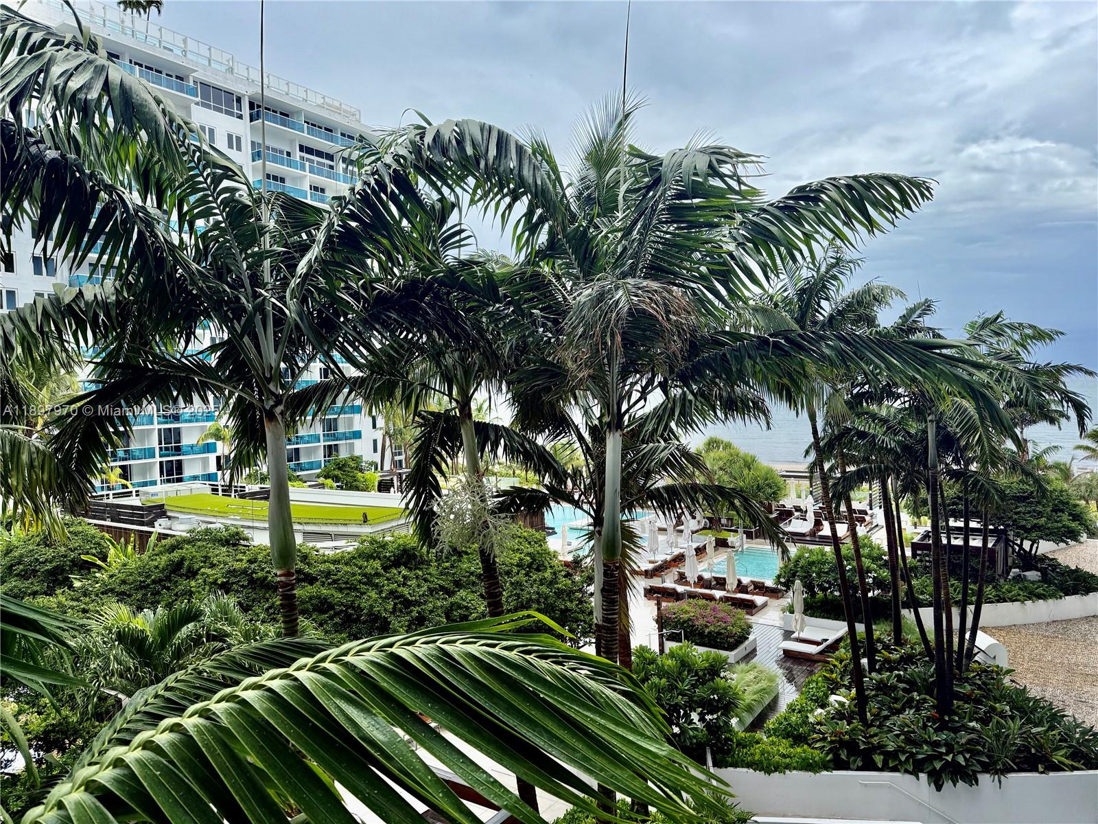2301 Collins Avenue, Unit 619 Miami Beach, FL 33139 - Photo 11 of 16 a view of a garden with palm trees