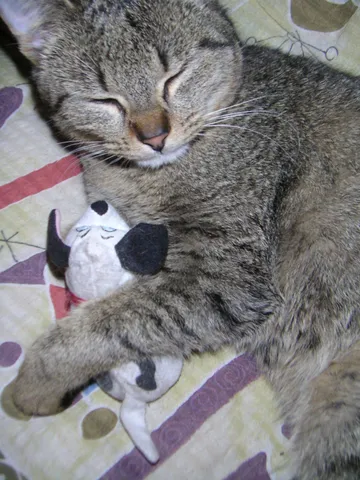 $1,649 | 149 Second Street, Unit 3, Manchester, NH 03102