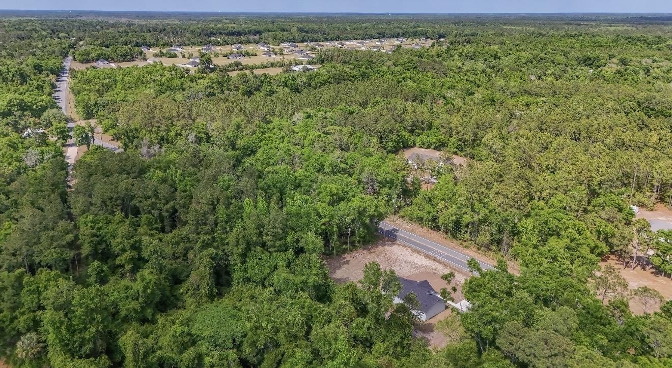 1244 Rehwinkel Road Crawfordville, FL 32327 - Photo 53 of 59
