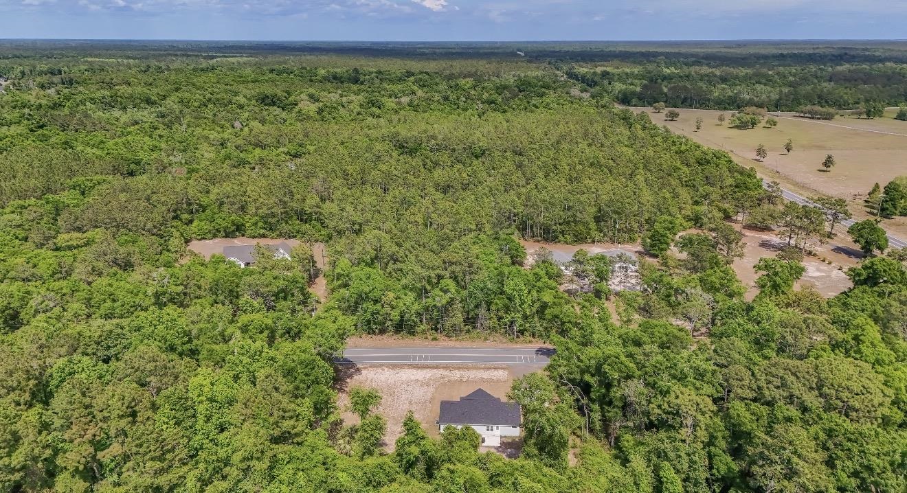 1244 Rehwinkel Road Crawfordville, FL 32327 - Photo 54 of 59