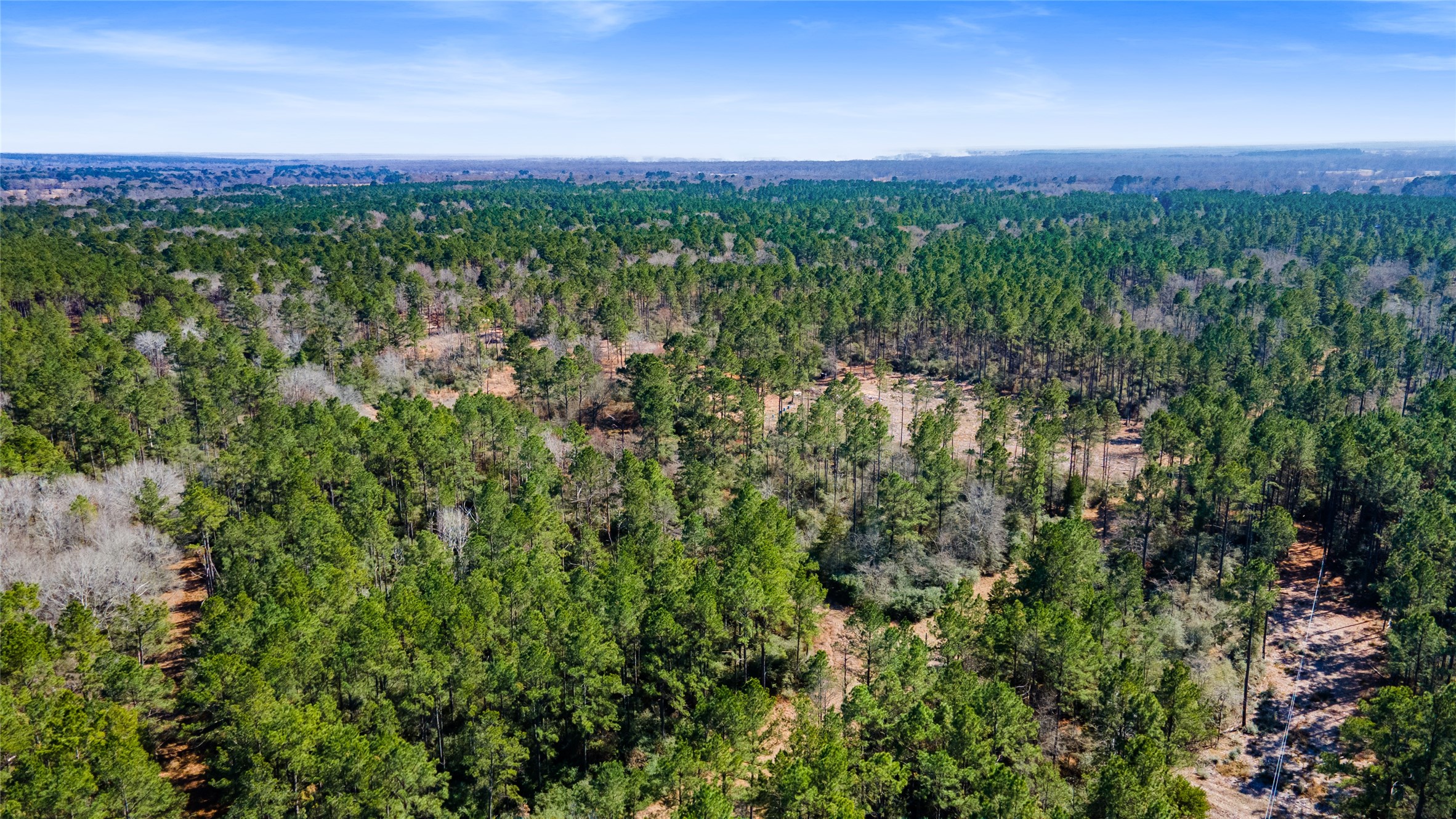0 Bo Brown Trinity, TX 75862 - Photo 5 of 8 a view of a green field