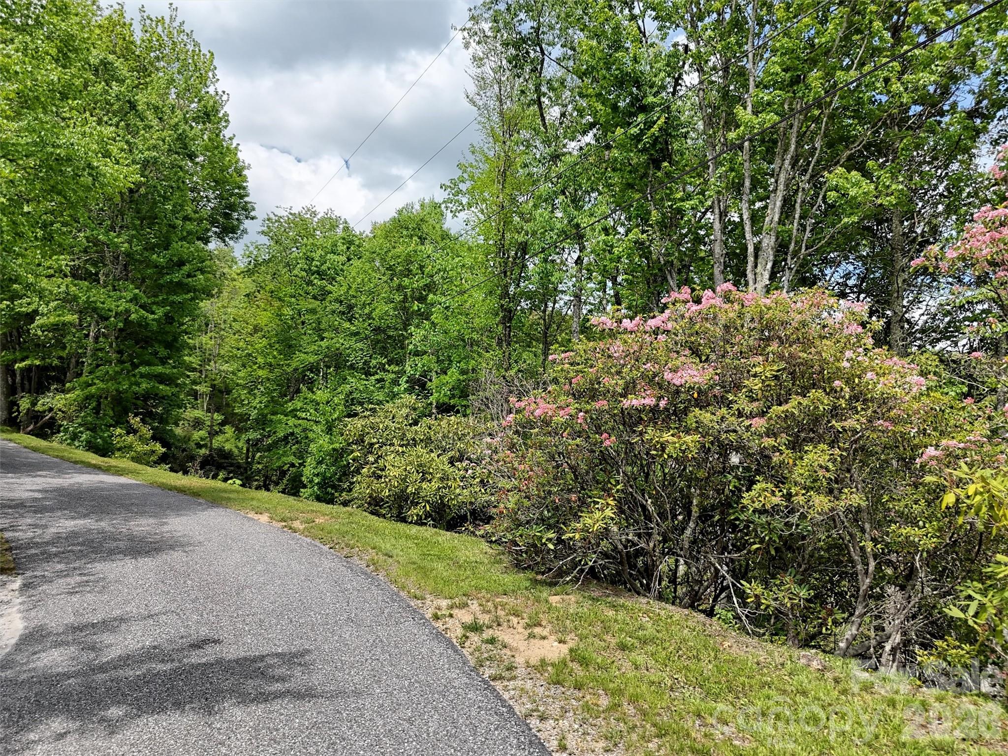 0 Leatherwood Road Maggie Valley, NC 28751 - Photo 8 of 15