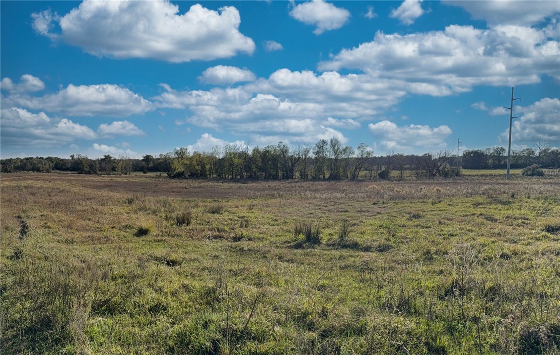 11281 Gourd Neck Loop, Unit COUNTYROAD Franklin, TX 77856 - Photo 13 of 46 a view of a field with trees in background