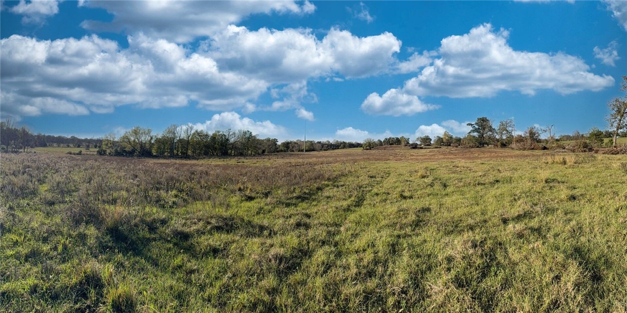 11281 Gourd Neck Loop, Unit COUNTYROAD Franklin, TX 77856 - Photo 20 of 46 a view of a big yard with lots of bushes