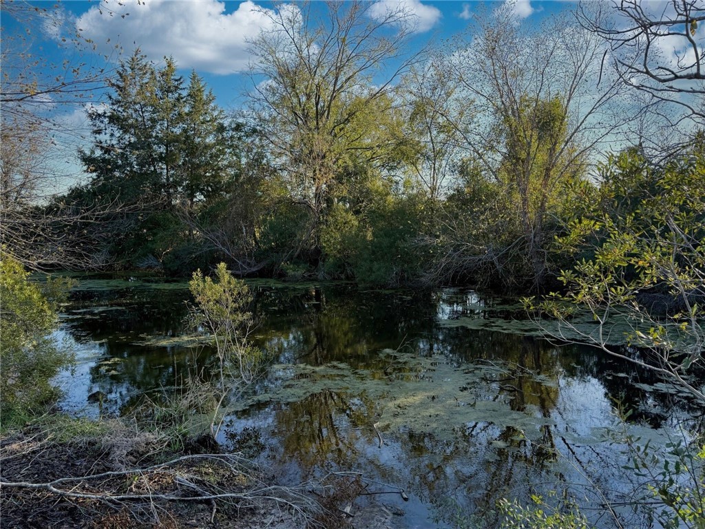 11281 Gourd Neck Loop, Unit COUNTYROAD Franklin, TX 77856 - Photo 21 of 46 a view of a lake with lots of trees