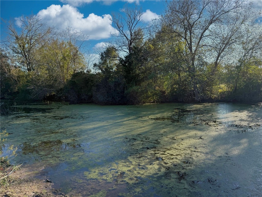 11281 Gourd Neck Loop, Unit COUNTYROAD Franklin, TX 77856 - Photo 22 of 46 a view of a yard