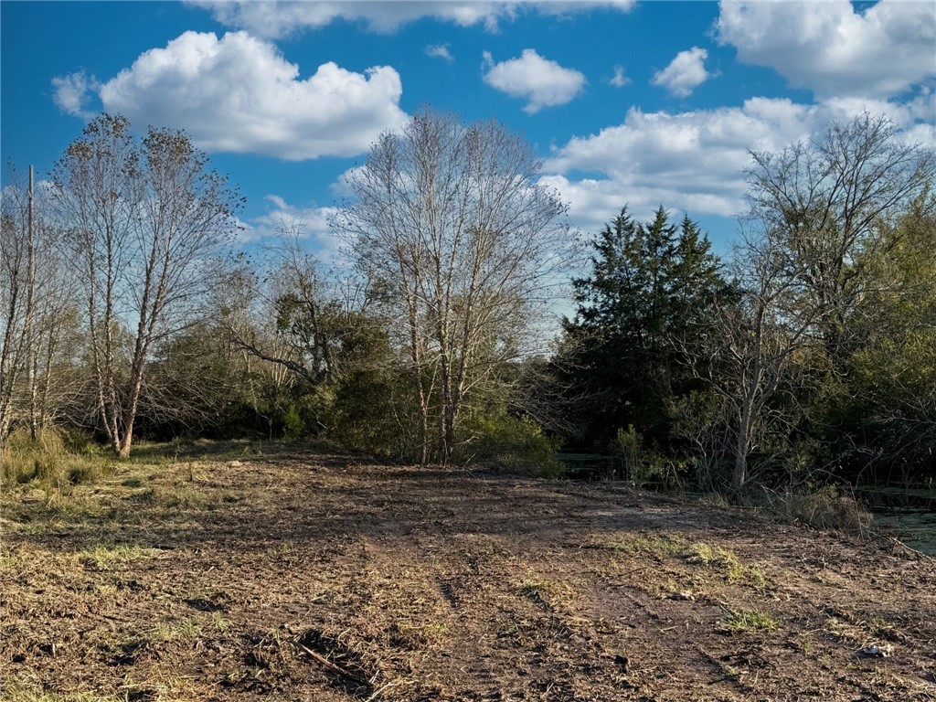 11281 Gourd Neck Loop, Unit COUNTYROAD Franklin, TX 77856 - Photo 23 of 46 a view of a backyard