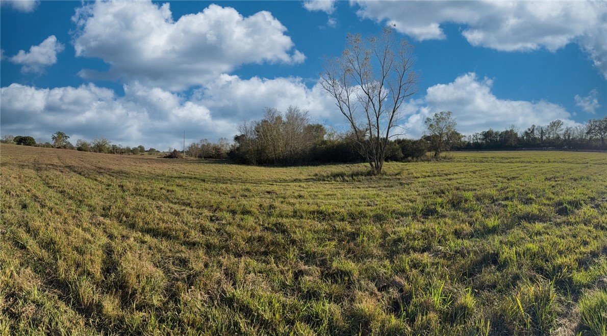 11281 Gourd Neck Loop, Unit COUNTYROAD Franklin, TX 77856 - Photo 24 of 46