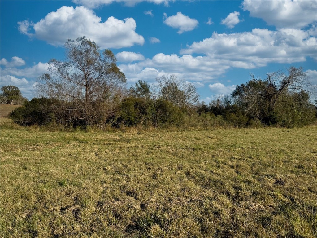 11281 Gourd Neck Loop, Unit COUNTYROAD Franklin, TX 77856 - Photo 28 of 46 a view of a garden