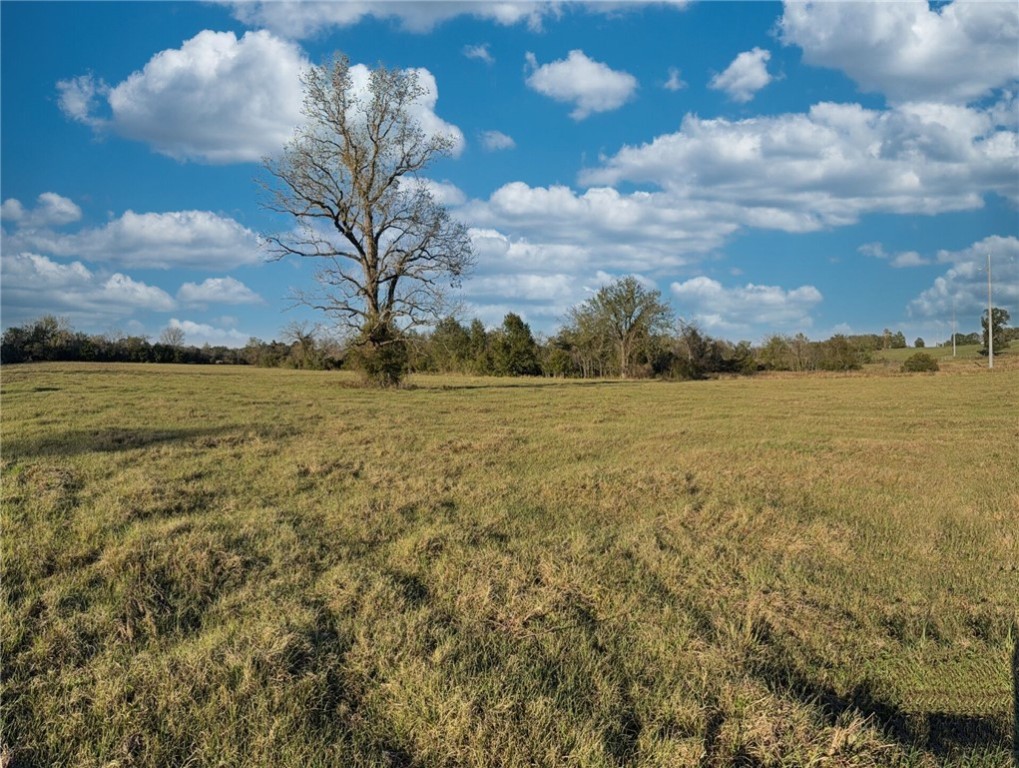 11281 Gourd Neck Loop, Unit COUNTYROAD Franklin, TX 77856 - Photo 32 of 46