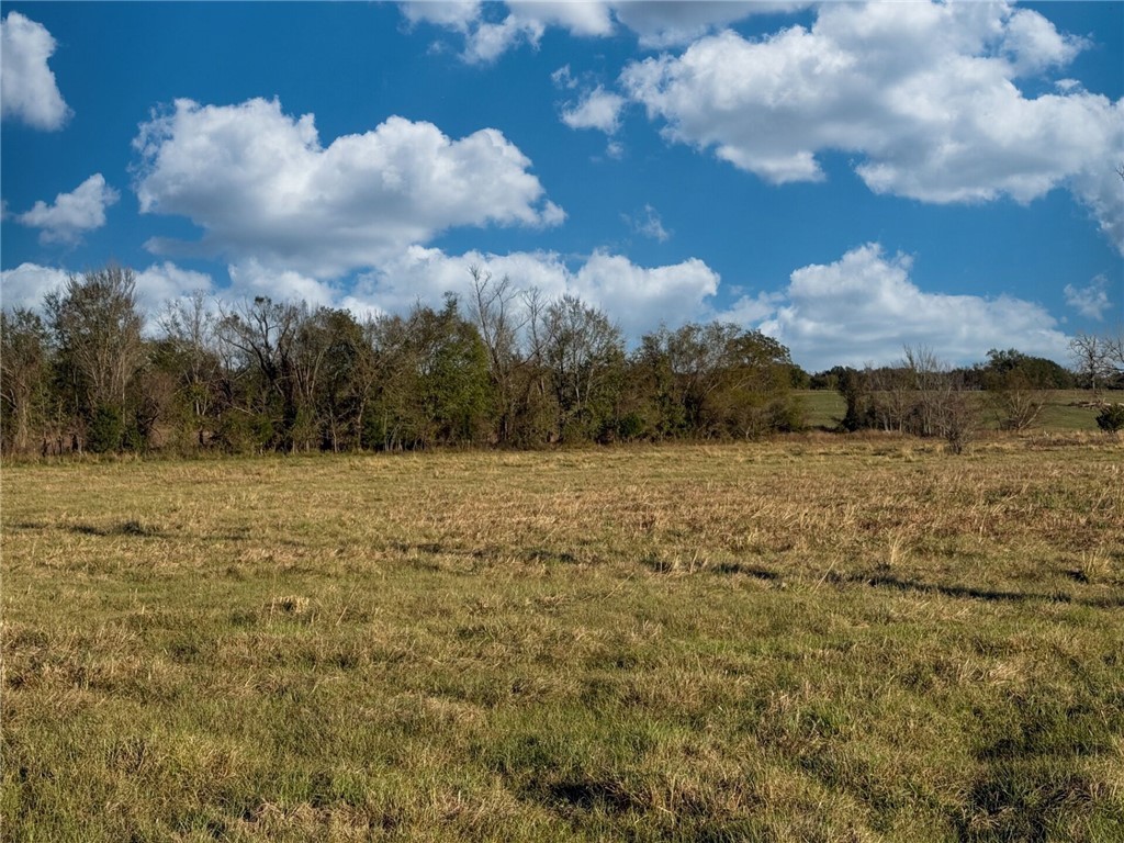 11281 Gourd Neck Loop, Unit COUNTYROAD Franklin, TX 77856 - Photo 34 of 46 a view of ocean