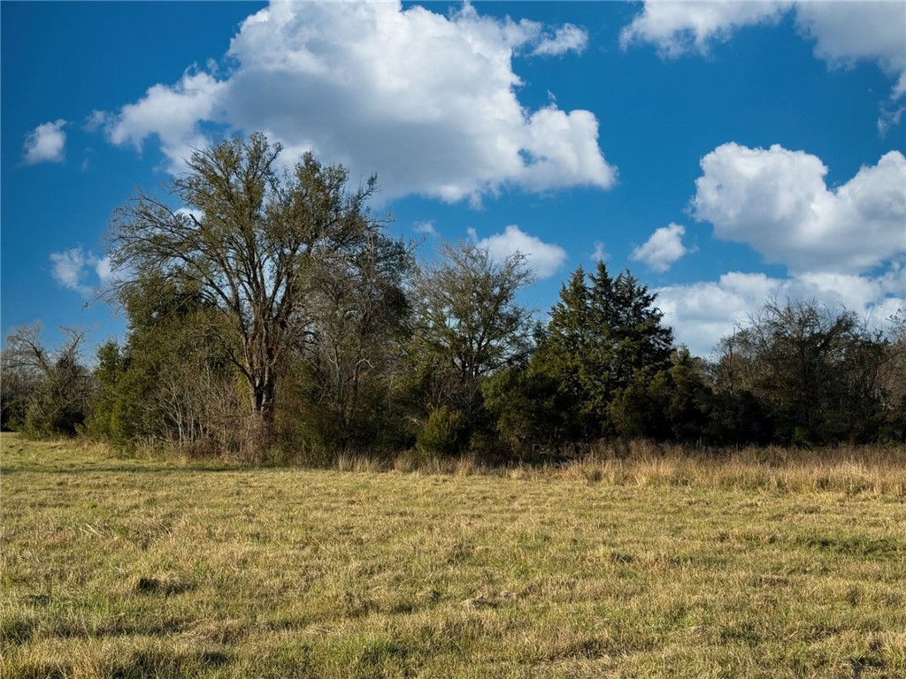 11281 Gourd Neck Loop, Unit COUNTYROAD Franklin, TX 77856 - Photo 37 of 46 a view of a lake
