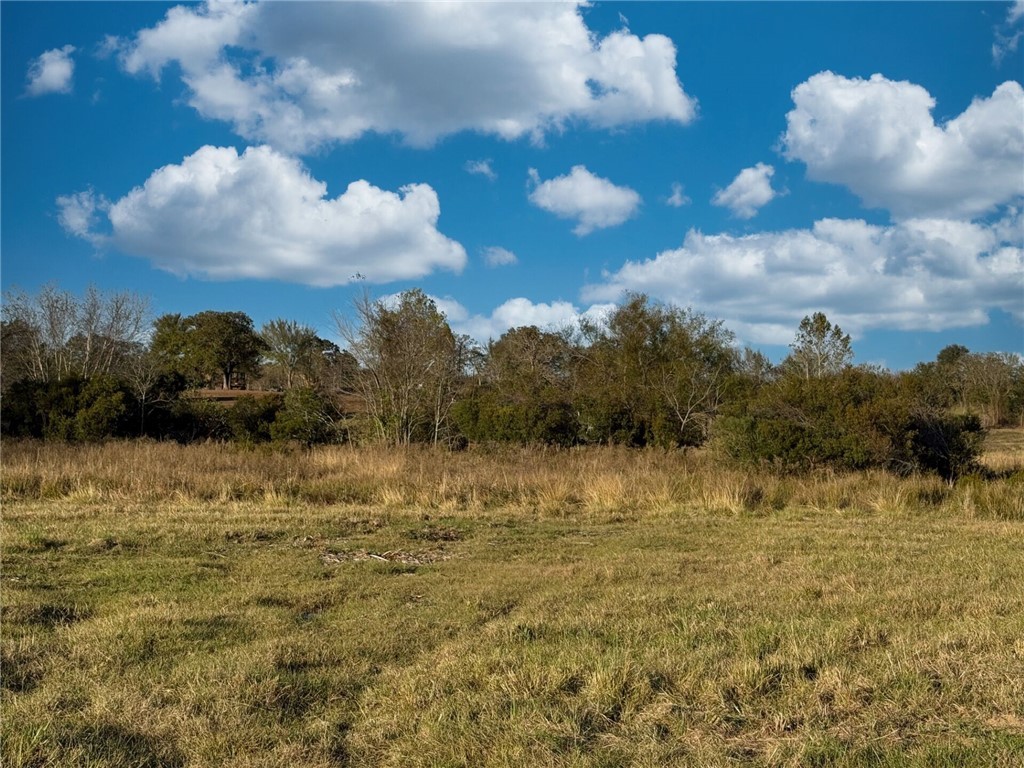 11281 Gourd Neck Loop, Unit COUNTYROAD Franklin, TX 77856 - Photo 38 of 46 a view of lake