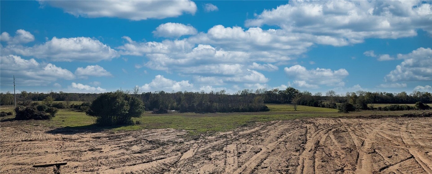 11281 Gourd Neck Loop, Unit COUNTYROAD Franklin, TX 77856 - Photo 4 of 46 a view of a garden
