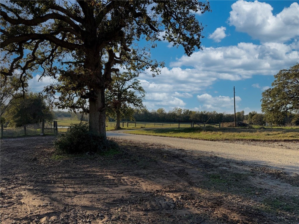 11281 Gourd Neck Loop, Unit COUNTYROAD Franklin, TX 77856 - Photo 42 of 46 a view of a yard with a fountain