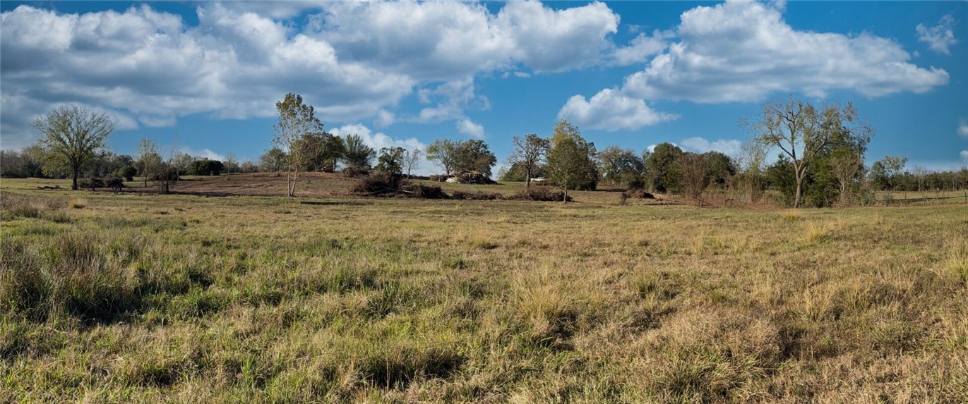 11281 Gourd Neck Loop, Unit COUNTYROAD Franklin, TX 77856 - Photo 6 of 46
