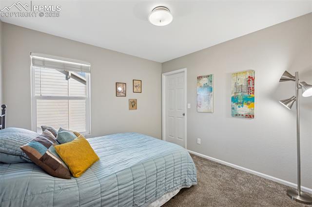 7262 Red Cardinal Loop Colorado Springs, CO 80908 - Photo 23 of 37 Gallery Image 23