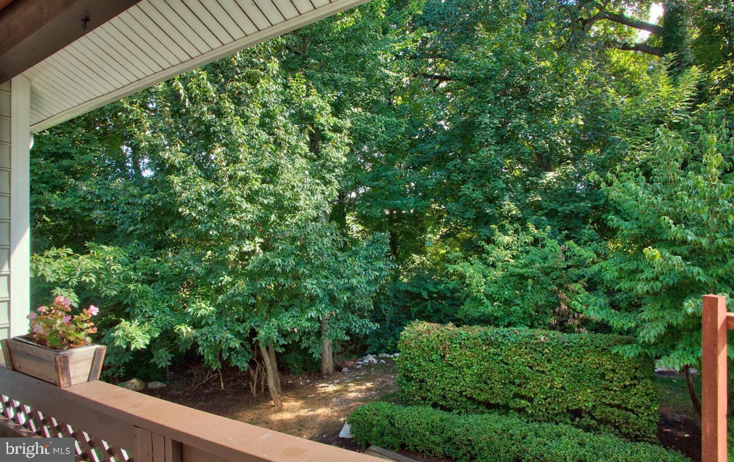 10198 Oakton Terrace Road Oakton, VA 22124 - Photo 11 of 22 a view of a garden with plants