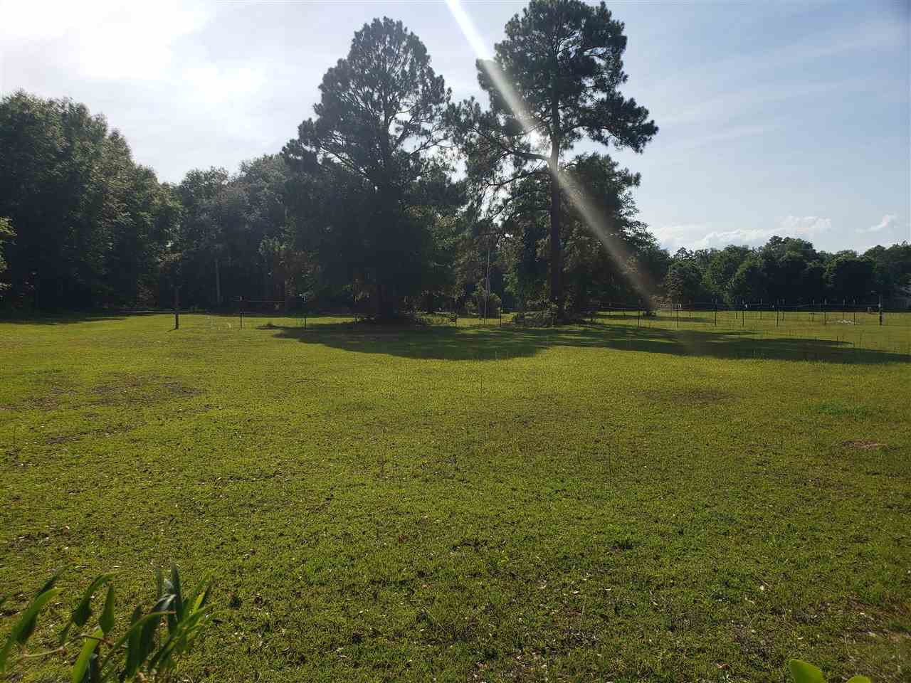 9736 Hildreth Drive Elberta, AL 36530 - Photo 3 of 9