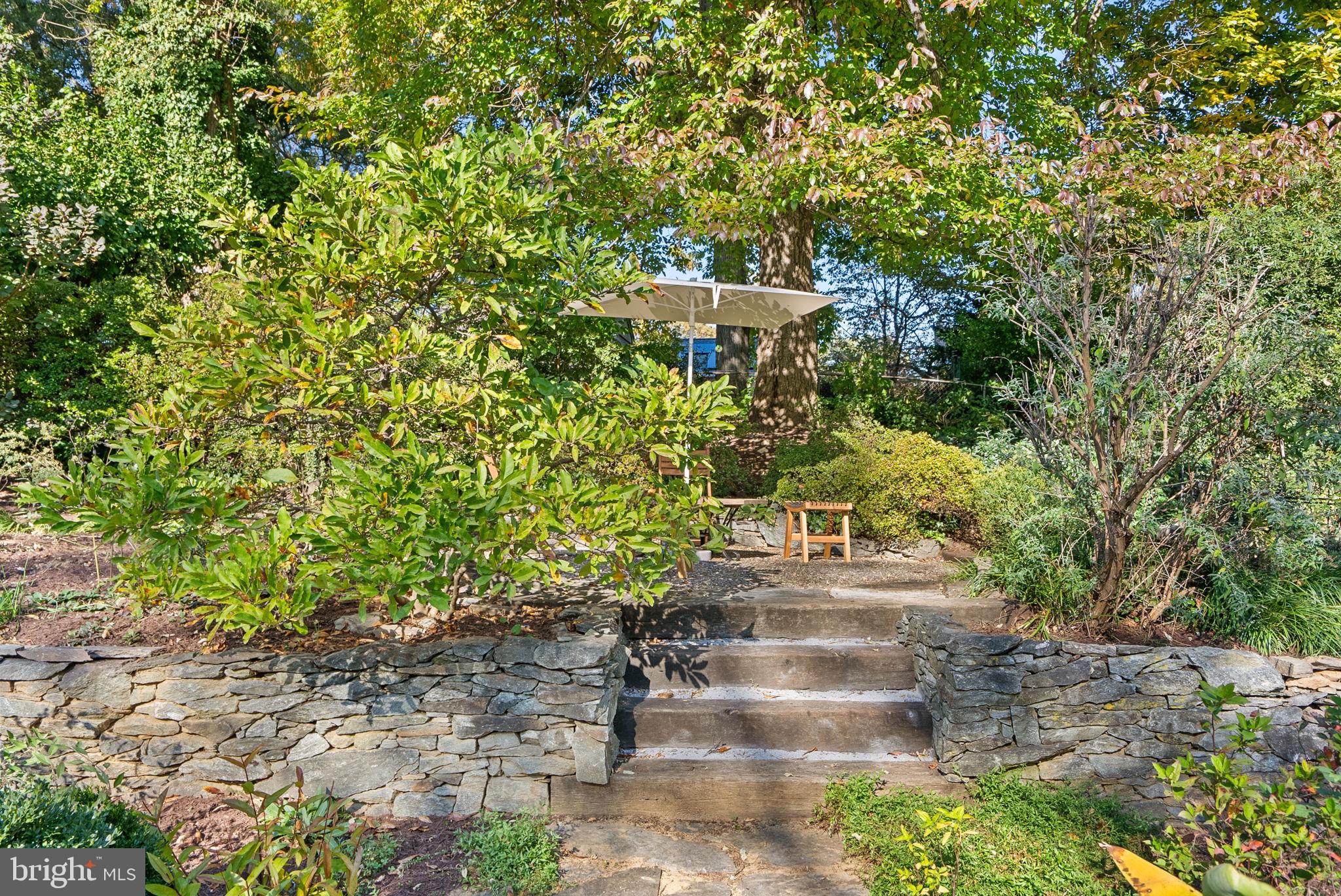 509 Mansfield Road Silver Spring, MD 20910 - Photo 27 of 36