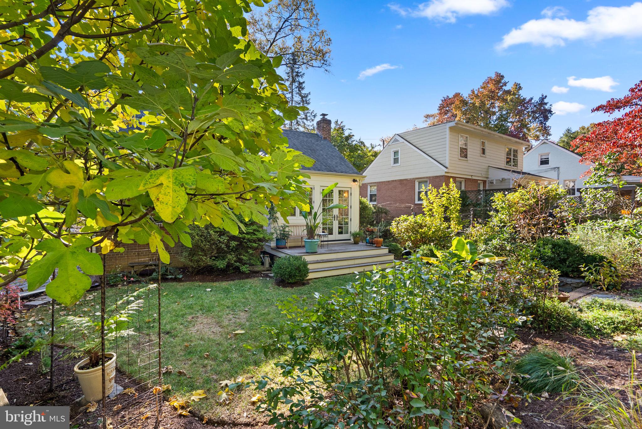 509 Mansfield Road Silver Spring, MD 20910 - Photo 29 of 36