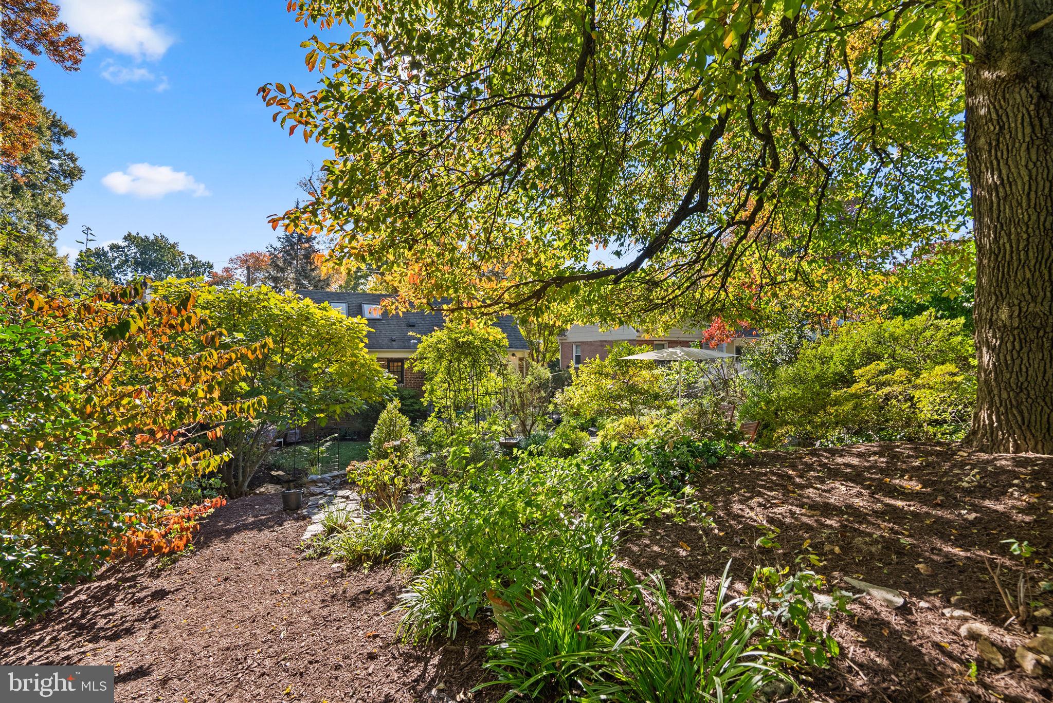 509 Mansfield Road Silver Spring, MD 20910 - Photo 30 of 36