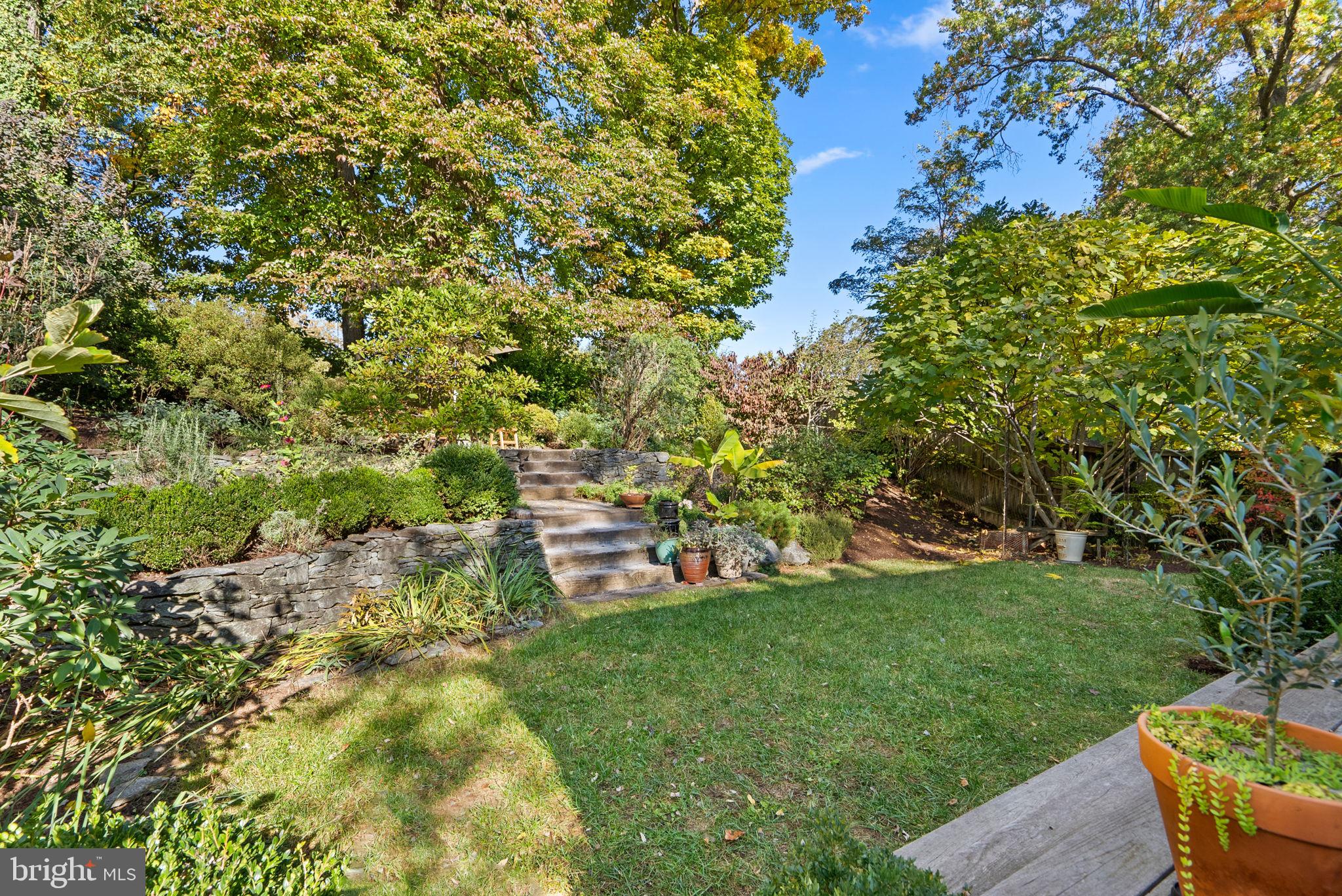 509 Mansfield Road Silver Spring, MD 20910 - Photo 7 of 36