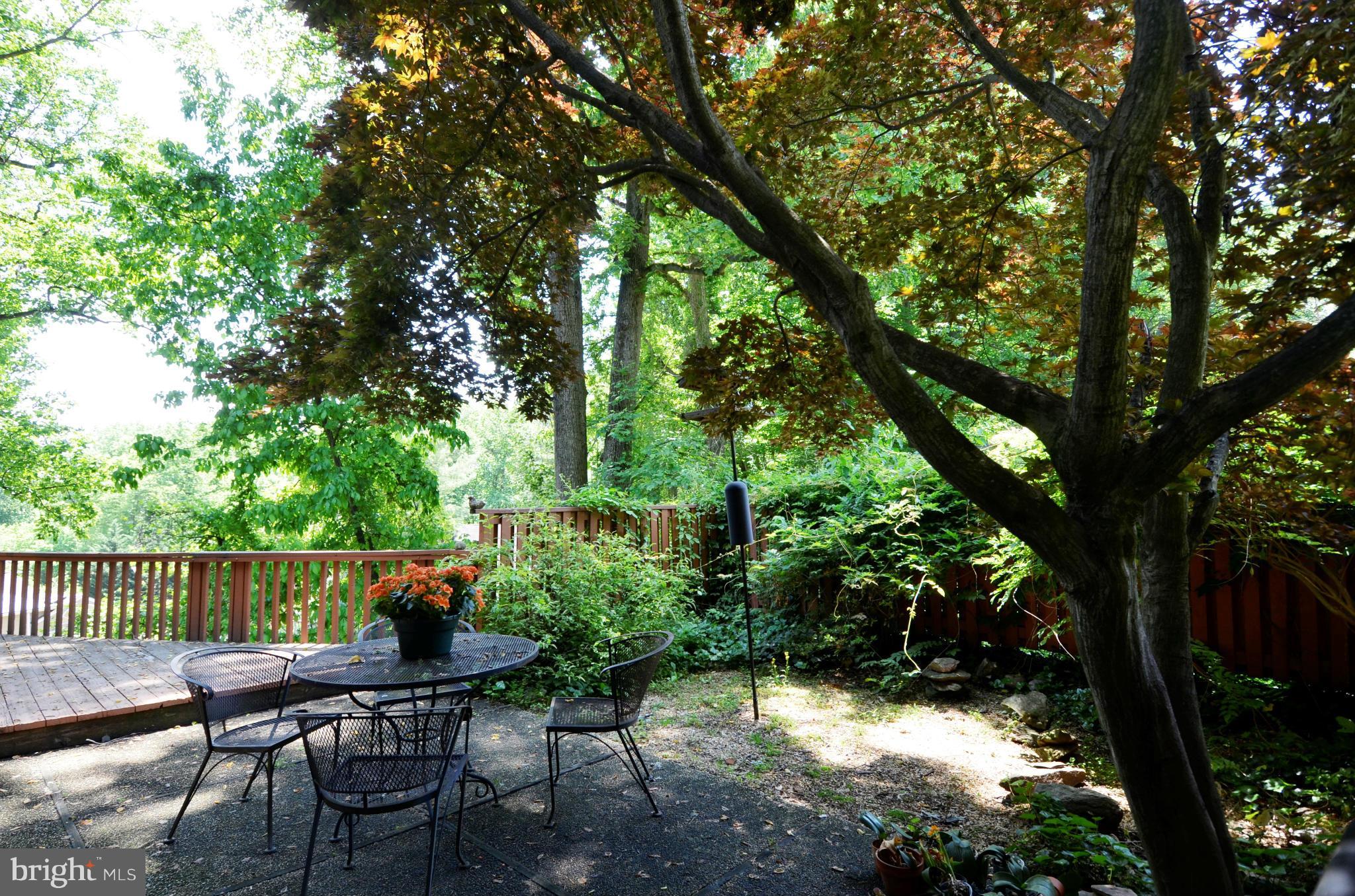 7602 Hamilton Spring Road Bethesda, MD 20817 - Photo 2 of 5 a view of backyard with seating and green space
