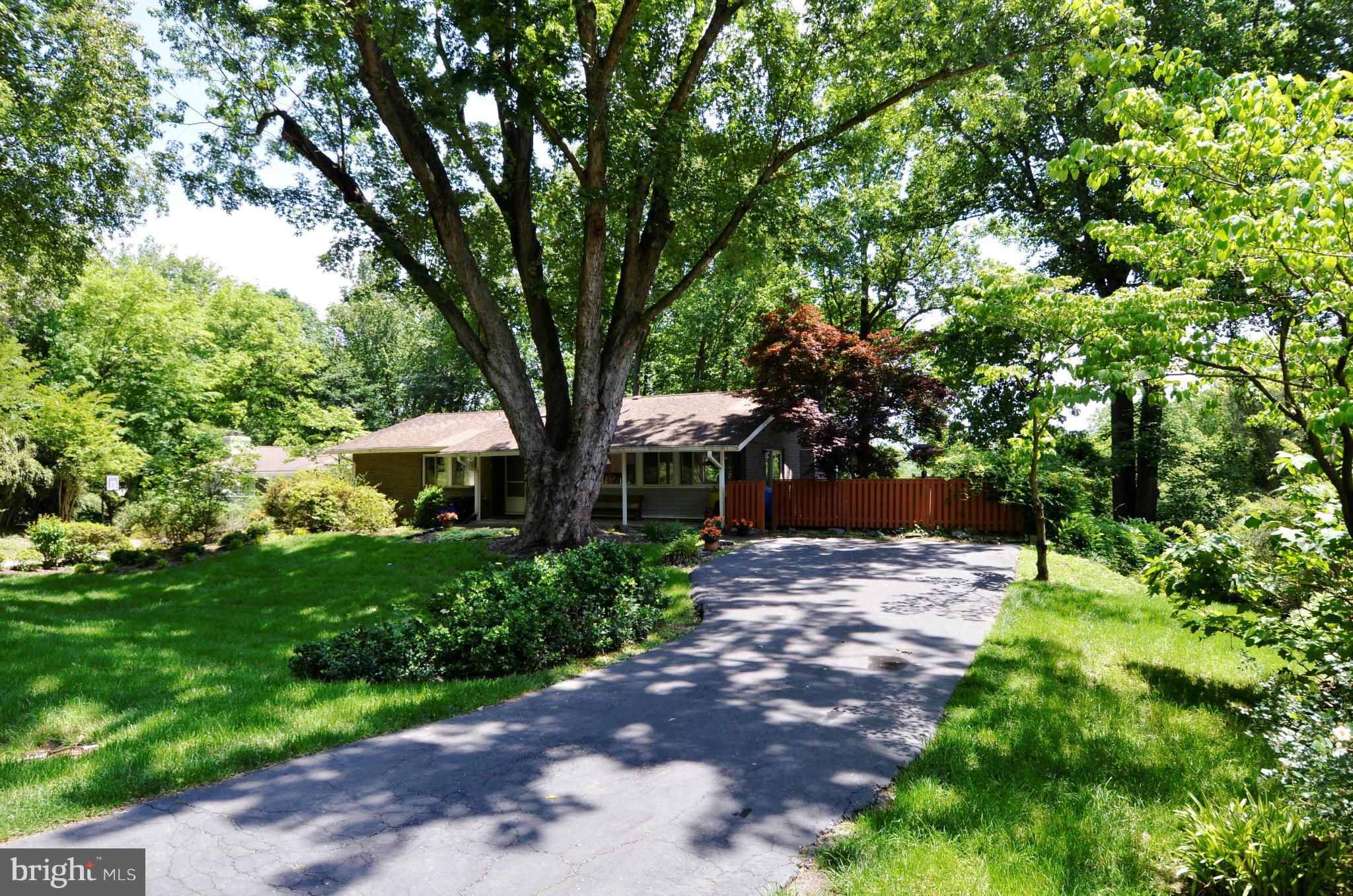 7602 Hamilton Spring Road Bethesda, MD 20817 - Photo 4 of 5 a view of a backyard with potted plants and large trees