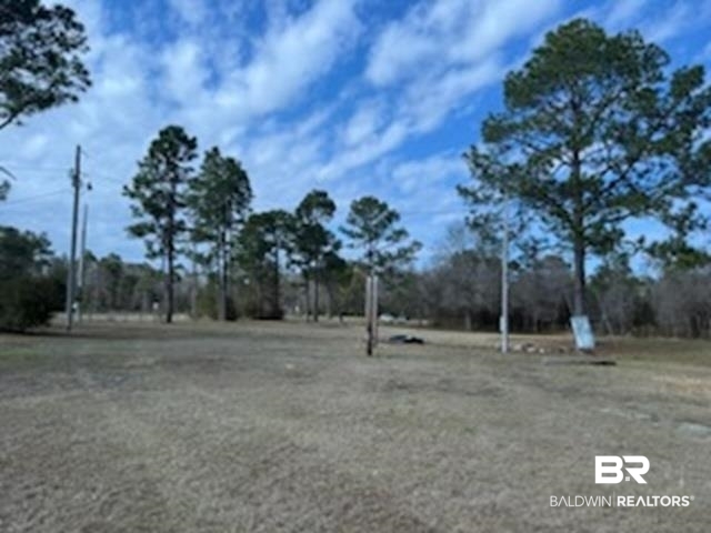 32840 Seminole Road West Seminole, AL 36574 - Photo 8 of 11 View of yard
