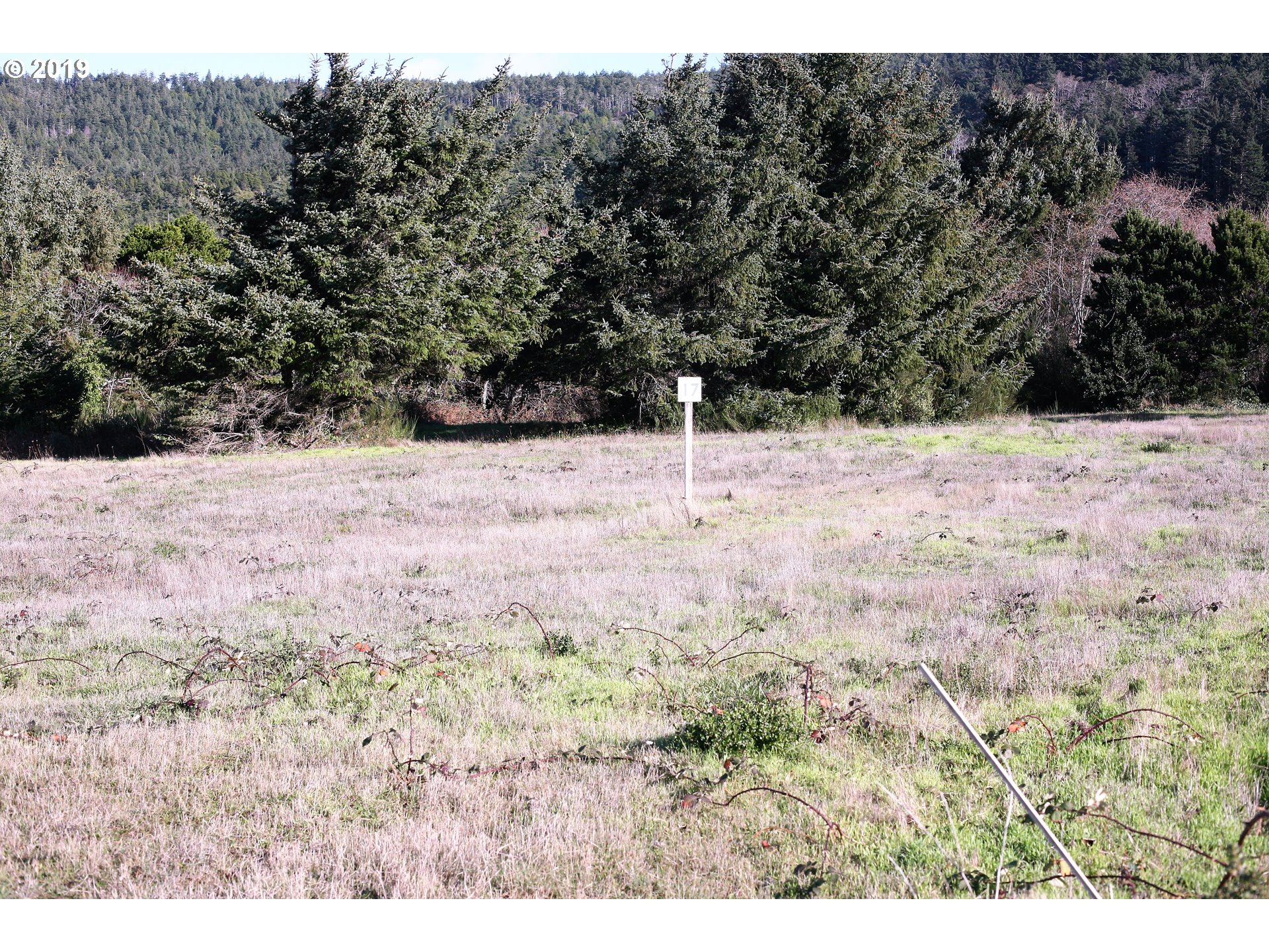 Nesika Road, Unit 17 Gold Beach, OR 97444 - Photo 1 of 17