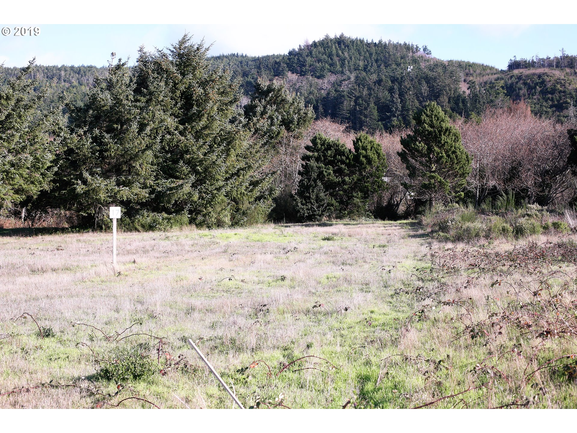 Nesika Road, Unit 17 Gold Beach, OR 97444 - Photo 2 of 17