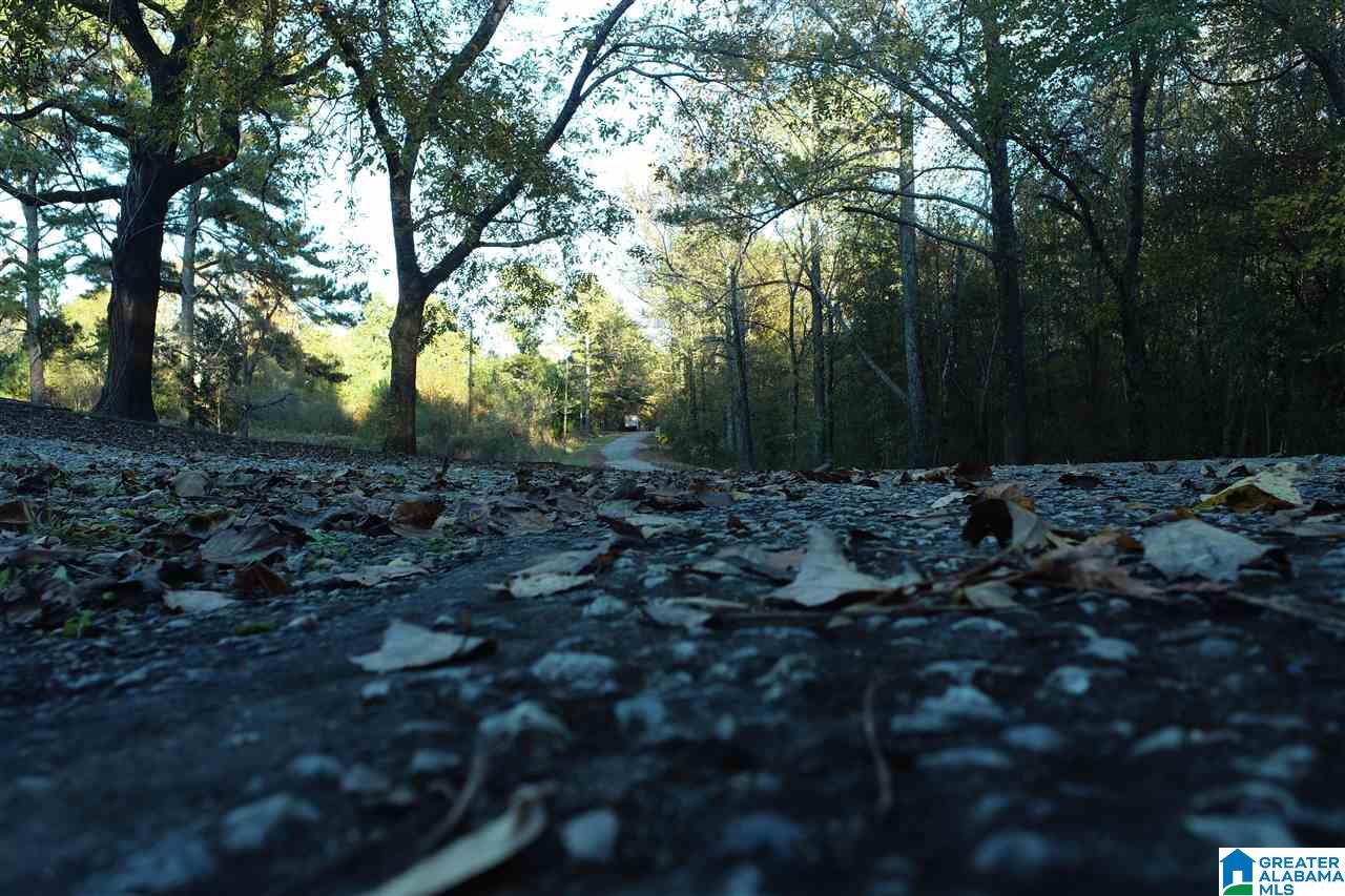 1163 County Road 158 Heflin, AL 36264 - Photo 12 of 18