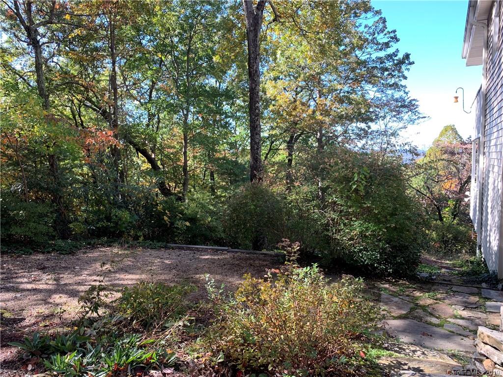 104 Little Falls Drive Tryon, NC 28782 - Photo 7 of 21 a view of a yard with plants and large trees