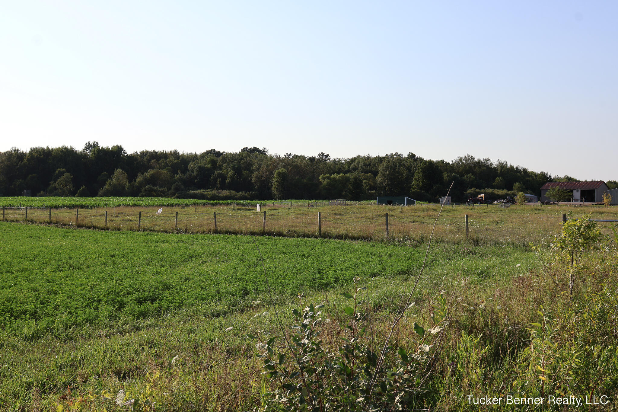 11309 Brickyard Road Holton, MI 49425 - Photo 49 of 52 4 Acres - 11309 Brickyard