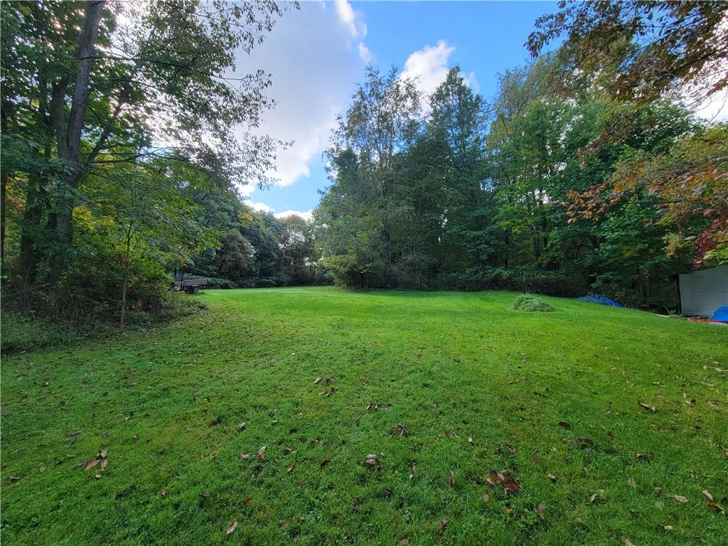 227 Crystal Spring Road Sandy Lake, PA 16145 - Photo 2 of 50 a view of a garden with a tree